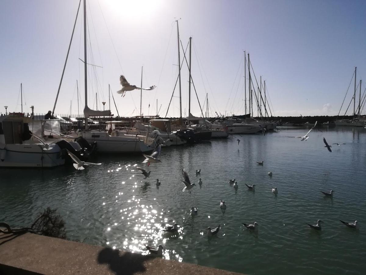 Blue Marine Di Ostia Hotel Eksteriør billede